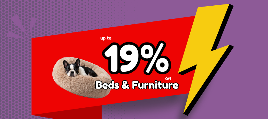 PET BEDS & FURNITURE UPTO 19% OFF