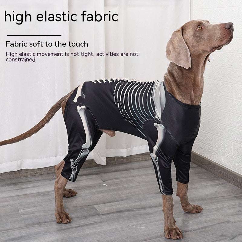 Halloween Skeleton Costume for Dogs – Spooky Pet Outfit UK PET HOUSE