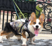 Pet Dog & Cat Winter Hooded Coat Jacket UK PET HOUSE