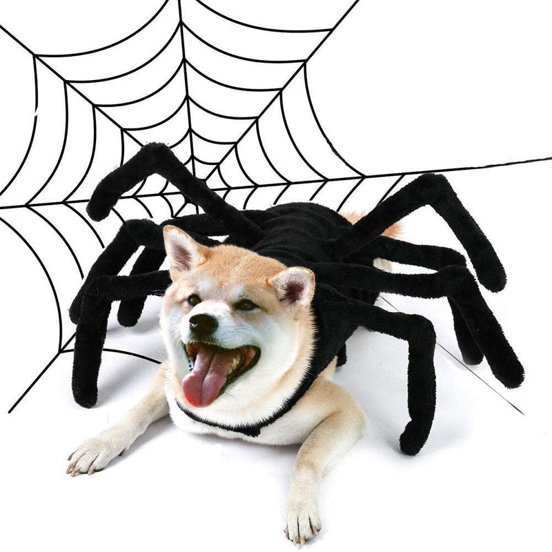 Funny Spider Halloween Costume for Dogs & Cats – Creative Chest & Back Pet Outfit UK PET HOUSE
