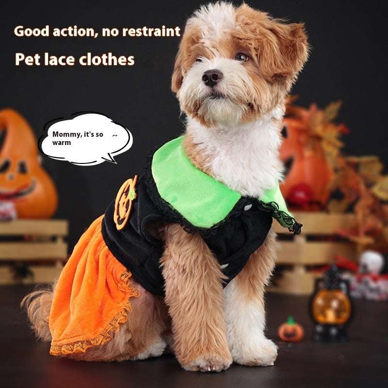 Pet Cat Dog Halloween Classic Pumpkin Skirt & Halloween Pumpkin Sweater Hoodie Unbranded