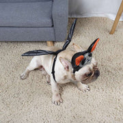 Pet Cat Dog Halloween Bat Wings & Hat Set Costume Unbranded