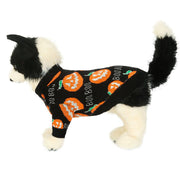 Halloween Pumpkin Sweater for Dogs & Cats – Festive Pet Outfit UK PET HOUSE