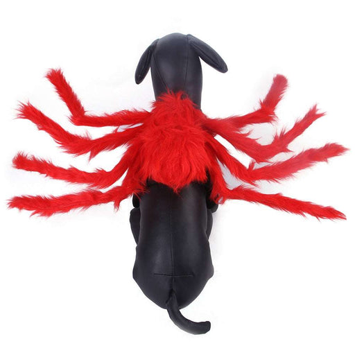 Multi-Color Halloween Spider Costume for Cats & Dogs – Creative Pet Outfit UK PET HOUSE