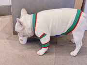 Striped Knitted Winter Pet Sweater – Warm Dog & Cat Cardigan for Bichon, Schnauzer & Small Breed UK PET HOUSE