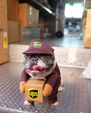 Funny UPS & Express Pet Dog Cat Costume – Delivery Outfit for Small Dogs and Cats UK PET HOUSE