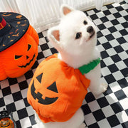 Pumpkin Pet Halloween Costume – Funny Plush Outfit for Cats & Small/Medium Dogs UK PET HOUSE