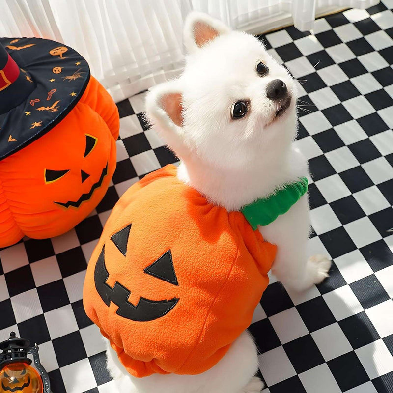 Pumpkin Pet Halloween Costume – Funny Plush Outfit for Cats & Small/Medium Dogs UK PET HOUSE