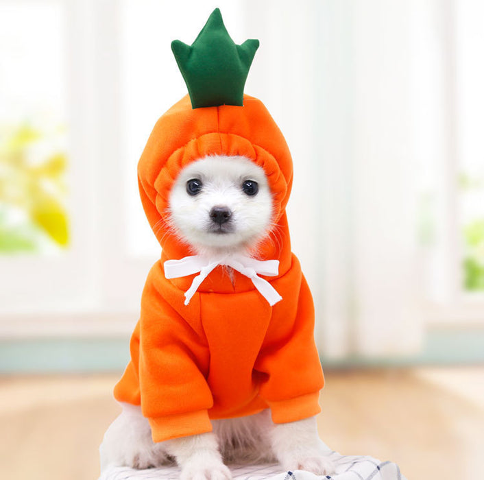 Pet Cat Dog Cute Fruit Hoodies Costume Winter Warm Fleece