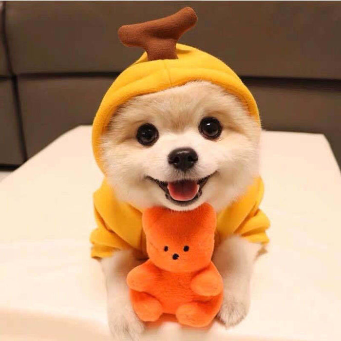 Pet Cat Dog Cute Fruit Hoodies Costume Winter Warm Fleece