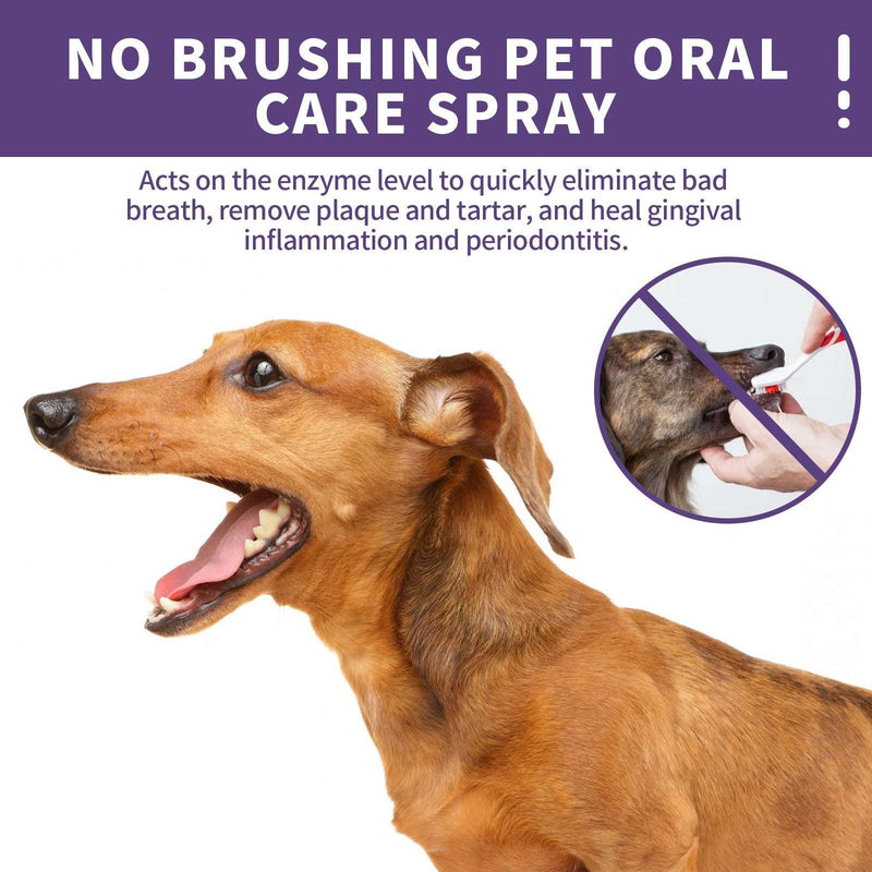 Pet Cat Dog Teeth cleaning spray Pet Oral Cleaning Breath Fresh Deodorant eprolo