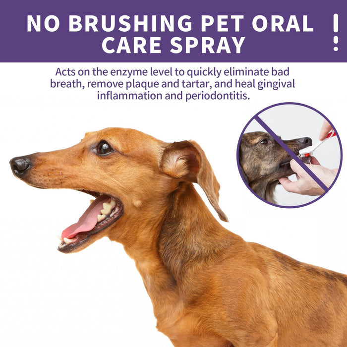 Pet Cat Dog Teeth cleaning spray Pet Oral Cleaning Breath Fresh Deodorant