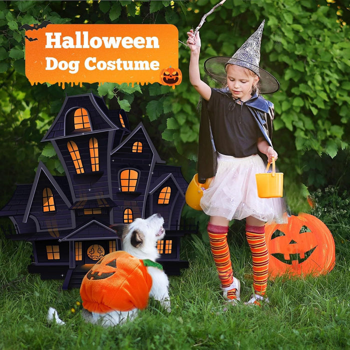 Pumpkin Pet Halloween Costume – Funny Plush Outfit for Cats & Small/Medium Dogs UK PET HOUSE