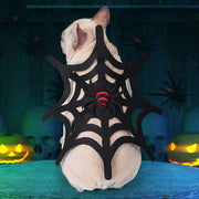 Halloween Spider Web Costume – Cat & Dog Outfit for Spooky Dress-Up DOG n KITTY