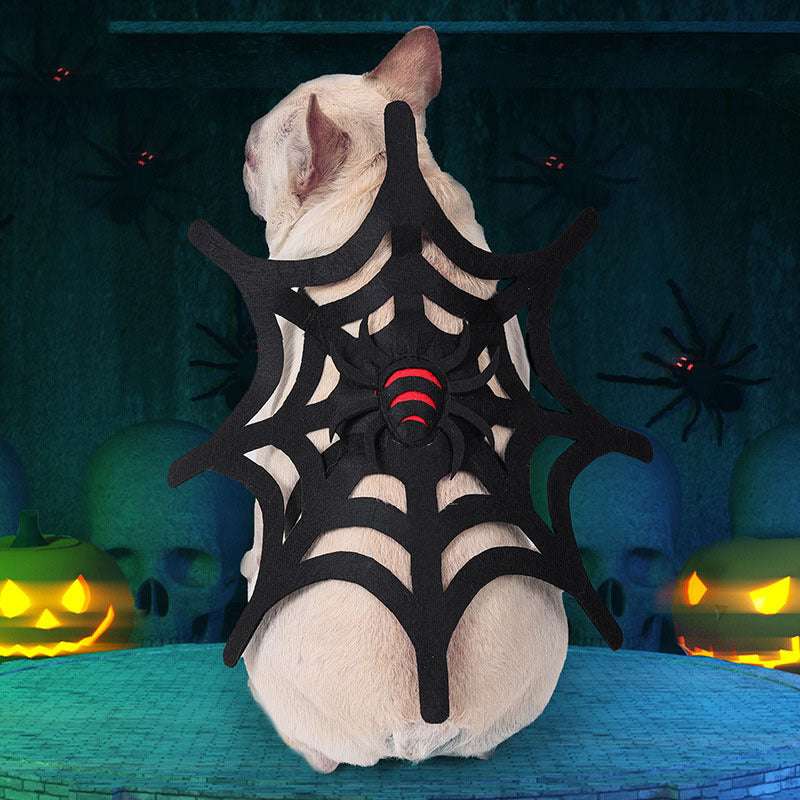Halloween Spider Web Costume – Cat & Dog Outfit for Spooky Dress-Up DOG n KITTY