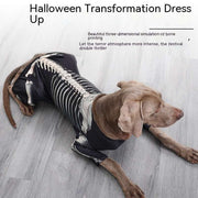 Halloween Skeleton Costume for Dogs – Spooky Pet Outfit UK PET HOUSE