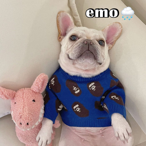 Trendy & Cozy Winter Pet Sweaters for Dogs and Cats UK PET HOUSE