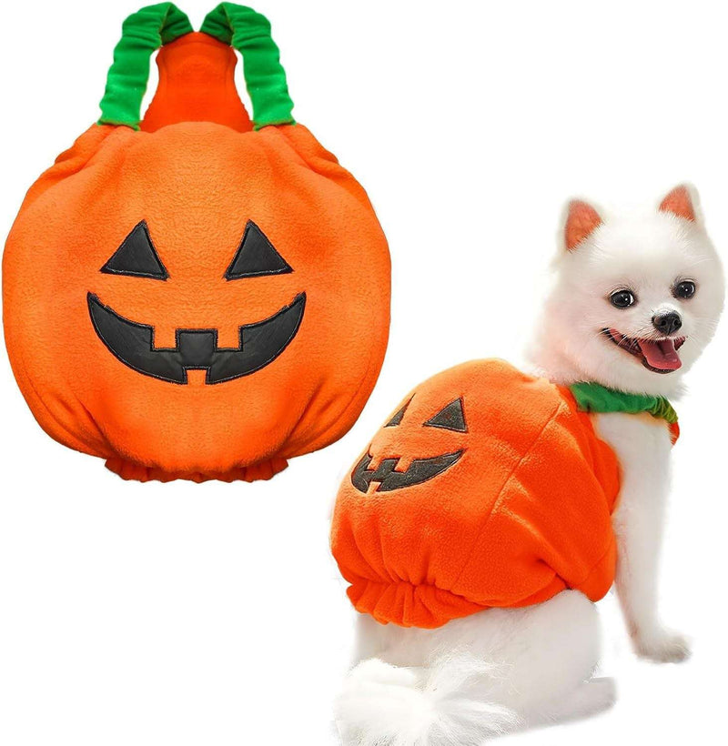 Pumpkin Pet Halloween Costume – Funny Plush Outfit for Cats & Small/Medium Dogs UK PET HOUSE