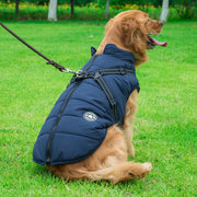 Pet Dog & Cat Winter Hooded Coat Jacket UK PET HOUSE