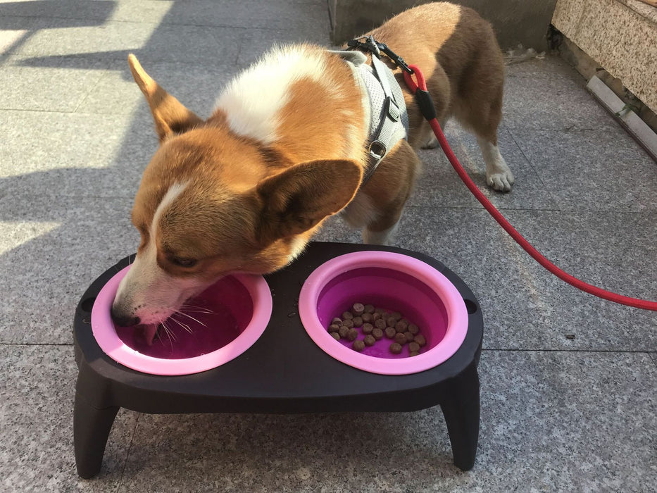 Pet Cat Dog Collapsible Bowl with Stand