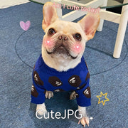 Trendy & Cozy Winter Pet Sweaters for Dogs and Cats UK PET HOUSE