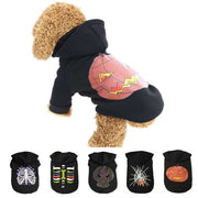 Halloween Festival Sweater for Dogs & Cats – Cozy Pet Costume UK PET HOUSE