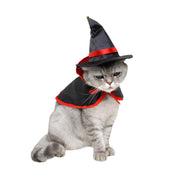 Pet Dog Cat Halloween Witch Cloak & Hat Set Unbranded