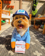 Funny UPS & Express Pet Dog Cat Costume – Delivery Outfit for Small Dogs and Cats UK PET HOUSE
