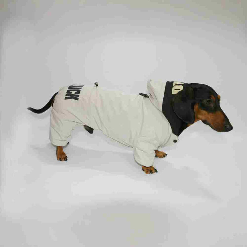 Warm Thick Winter Pet Clothes for Dogs & Cats – Outdoor Four-Legged Sweater UK PET HOUSE
