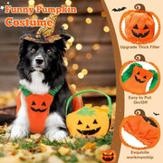 Pumpkin Pet Halloween Costume – Funny Plush Outfit for Cats & Small/Medium Dogs UK PET HOUSE