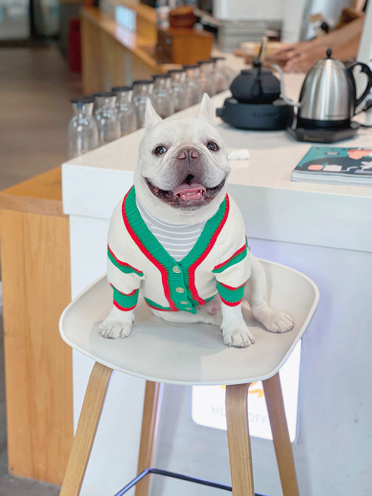 Striped Knitted Winter Pet Sweater – Warm Dog & Cat Cardigan for Bichon, Schnauzer & Small Breed UK PET HOUSE
