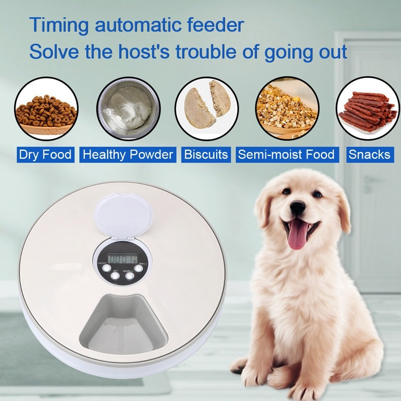 4PAWslife 6 Grids Pet Timing Feeder with Voice Recorder UK PET HOUSE