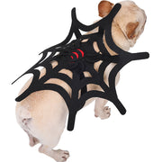Halloween Spider Web Costume – Cat & Dog Outfit for Spooky Dress-Up DOG n KITTY
