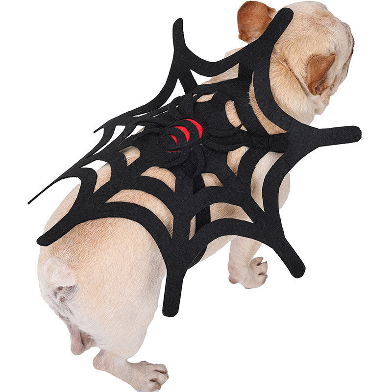 Halloween Spider Web Costume – Cat & Dog Outfit for Spooky Dress-Up DOG n KITTY