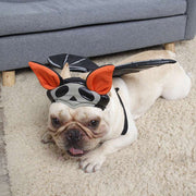 Pet Cat Dog Halloween Bat Wings & Hat Set Costume Unbranded