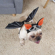 Pet Cat Dog Halloween Bat Wings & Hat Set Costume Unbranded