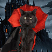 Vampire Cloak Pet Costume – Adorable Halloween Outfit for Cats & Small Dogs DOG n KITTY