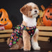 Small Angel Wings Halloween Dress for Dogs & Cats – Pet Costume with Bat or Pumpkin Variant UK PET HOUSE