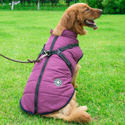 Pet Dog & Cat Winter Hooded Coat Jacket UK PET HOUSE