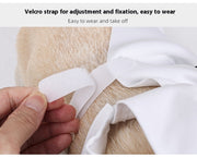 Halloween Ghost Costume for Dogs & Cats – Pet Party Outfit DOG n KITTY