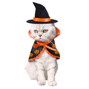 Pet Dog Cat Halloween Witch Cloak & Hat Set Unbranded