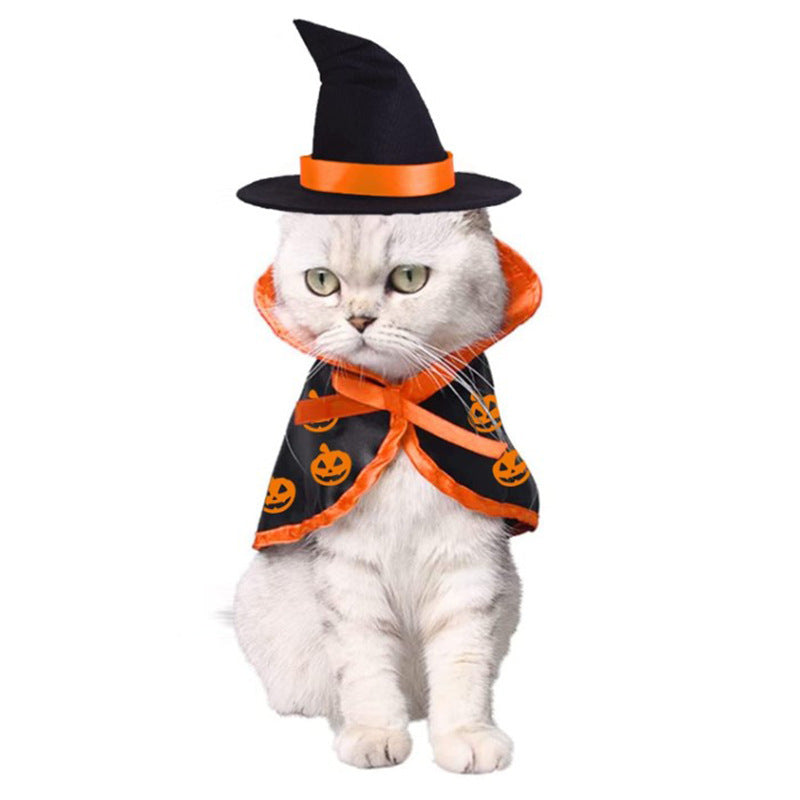 Pet Dog Cat Halloween Witch Cloak & Hat Set Unbranded