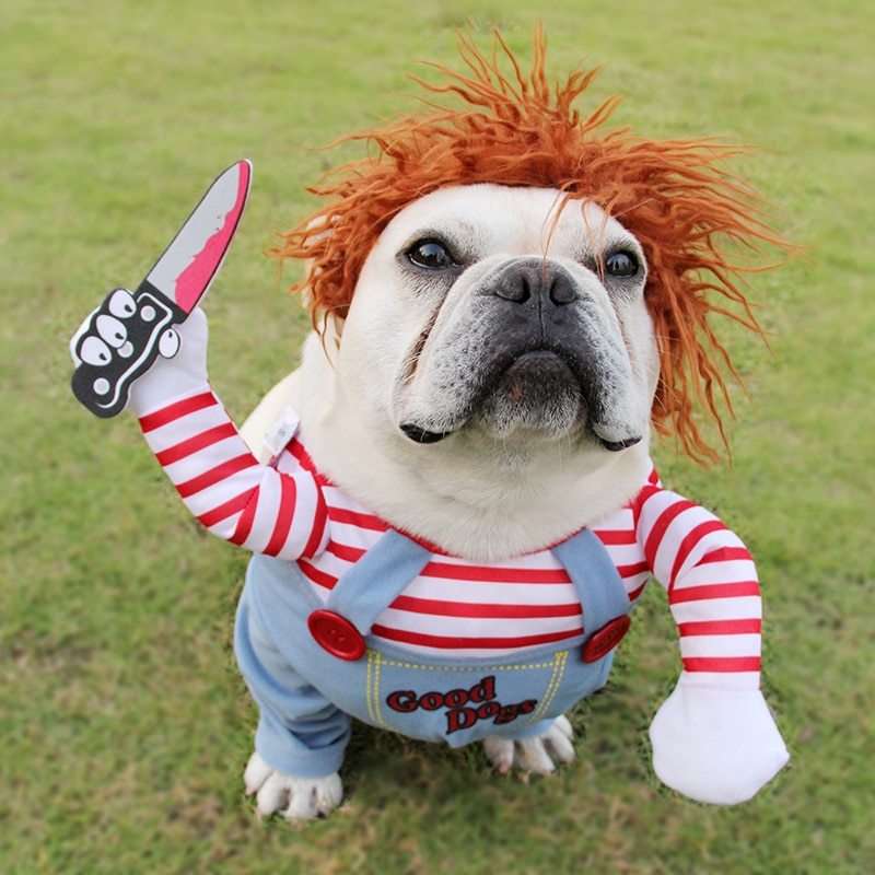 Chucky-Inspired Dog Cat Costume – Funny Halloween Outfit for Pets UK PET HOUSE
