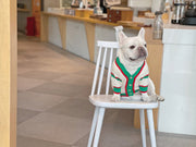 Striped Knitted Winter Pet Sweater – Warm Dog & Cat Cardigan for Bichon, Schnauzer & Small Breed UK PET HOUSE