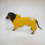 Warm Thick Winter Pet Clothes for Dogs & Cats – Outdoor Four-Legged Sweater UK PET HOUSE