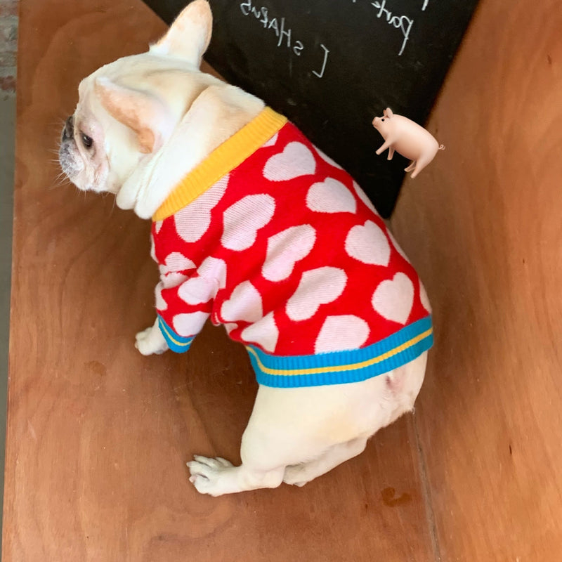 Pet Net Sweater – Autumn & Winter Outfit for Dogs and Cats (Teddy Size) UK PET HOUSE