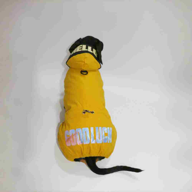 Warm Thick Winter Pet Clothes for Dogs & Cats – Outdoor Four-Legged Sweater UK PET HOUSE