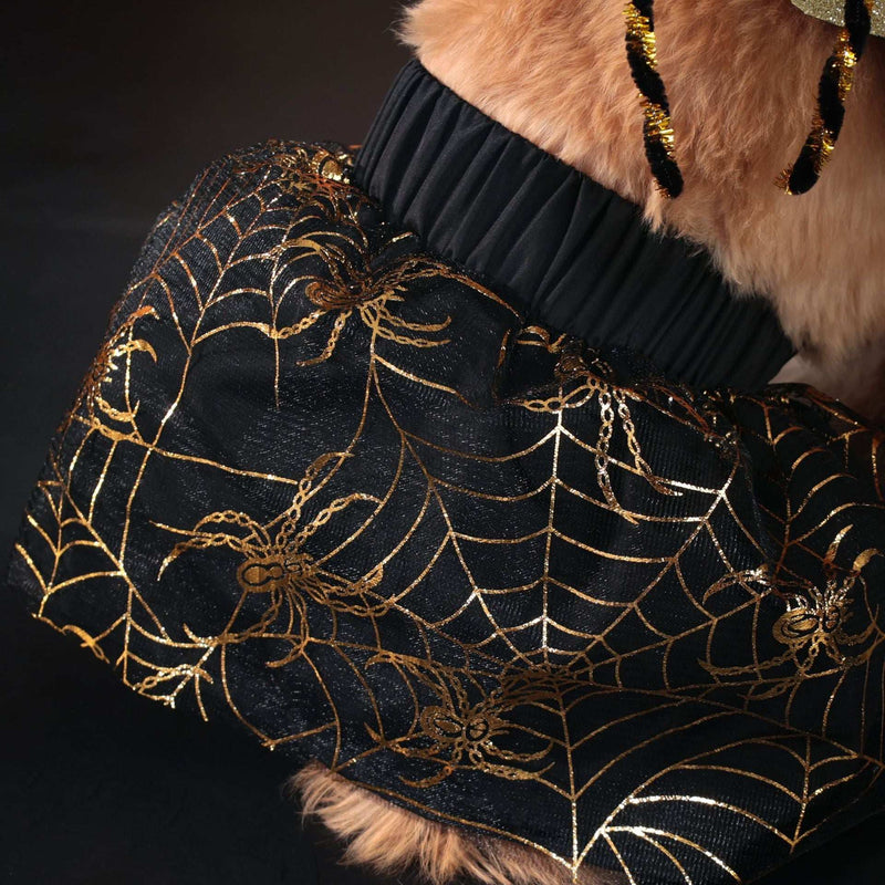 Halloween Spider Web Pet Costume – Dress Up Outfit for Cats & Small Dogs UK PET HOUSE