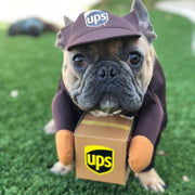 Funny UPS & Express Pet Dog Cat Costume – Delivery Outfit for Small Dogs and Cats UK PET HOUSE