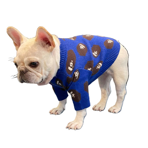 Trendy & Cozy Winter Pet Sweaters for Dogs and Cats UK PET HOUSE
